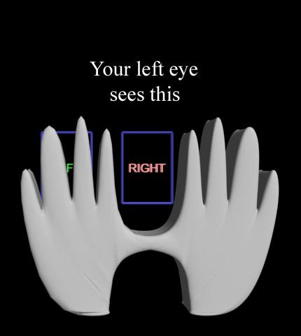 left eye view